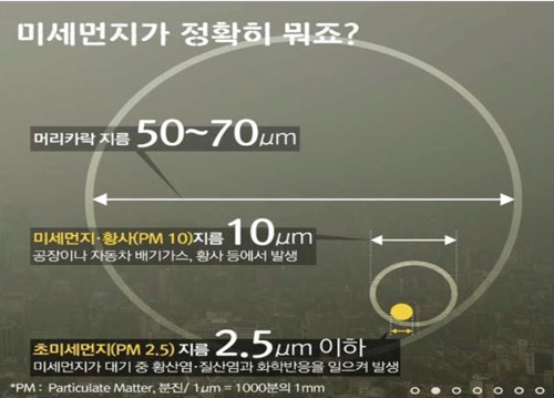 %25B9%25CC%25BC%25BC%25B8%25D5%25C1%25F6%2B%25C5%25A9%25B1%25E212.jpg