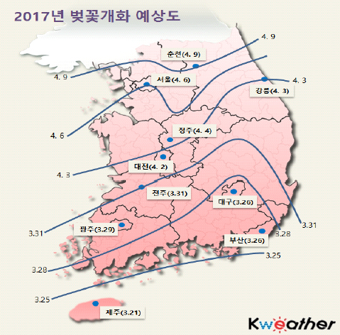 cherryblossom.jpg