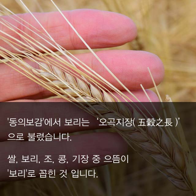 slide-72.jpg