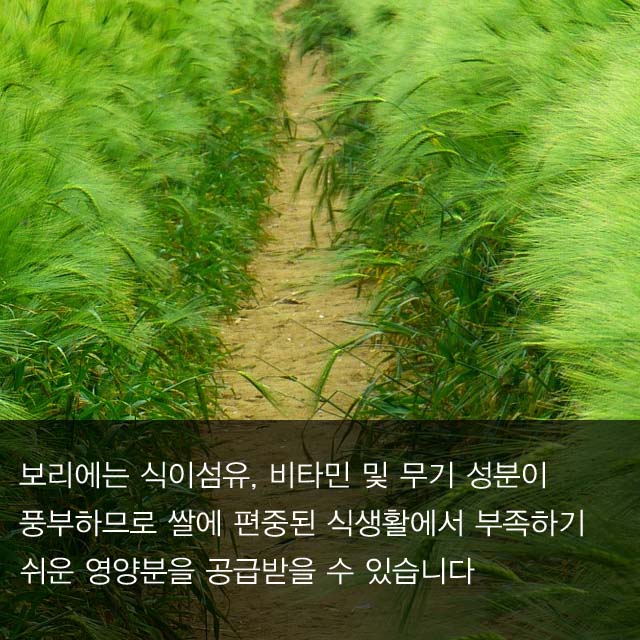slide-8.jpg