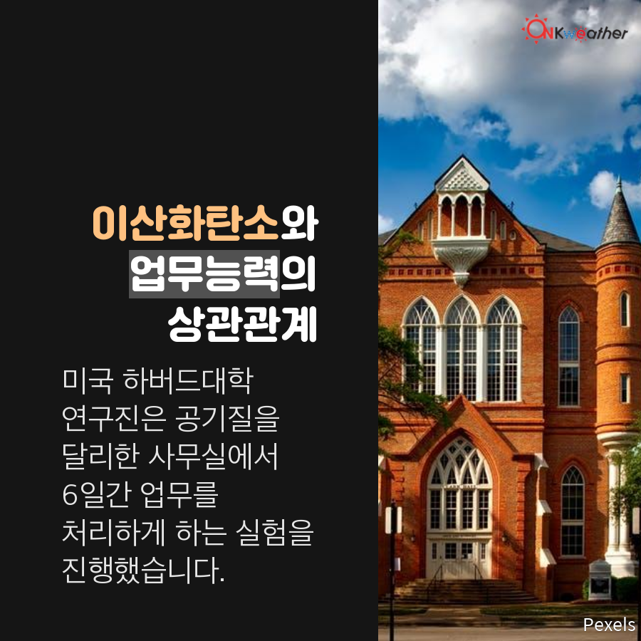 tyle-fhq-8.png