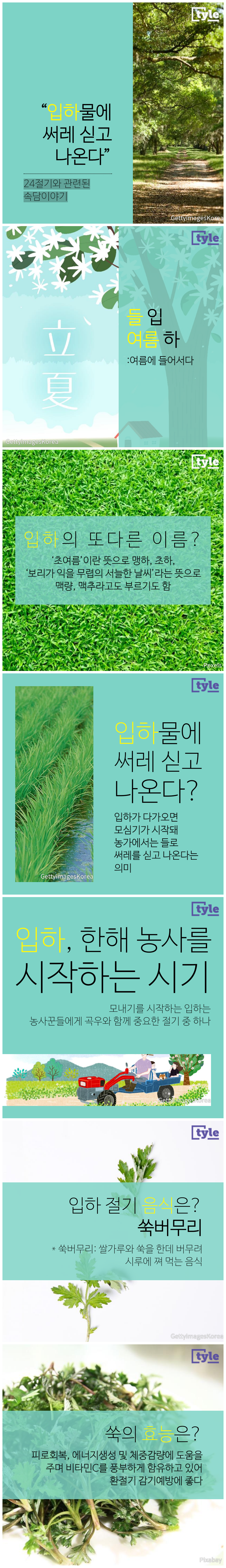 tyle-lpk-vertical.png